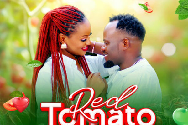 Red Tomato By David Lutalo (Lyrics)